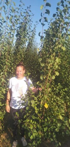 najbolje-cene-za-sadnice-kvalitetne-sadnice-najbolji-rod-redovan-rod-sandica-najbolje-vocke-krusevac-lazarevac-kursumlija-centralna-srbija-valjevo-cacak-kraljevo